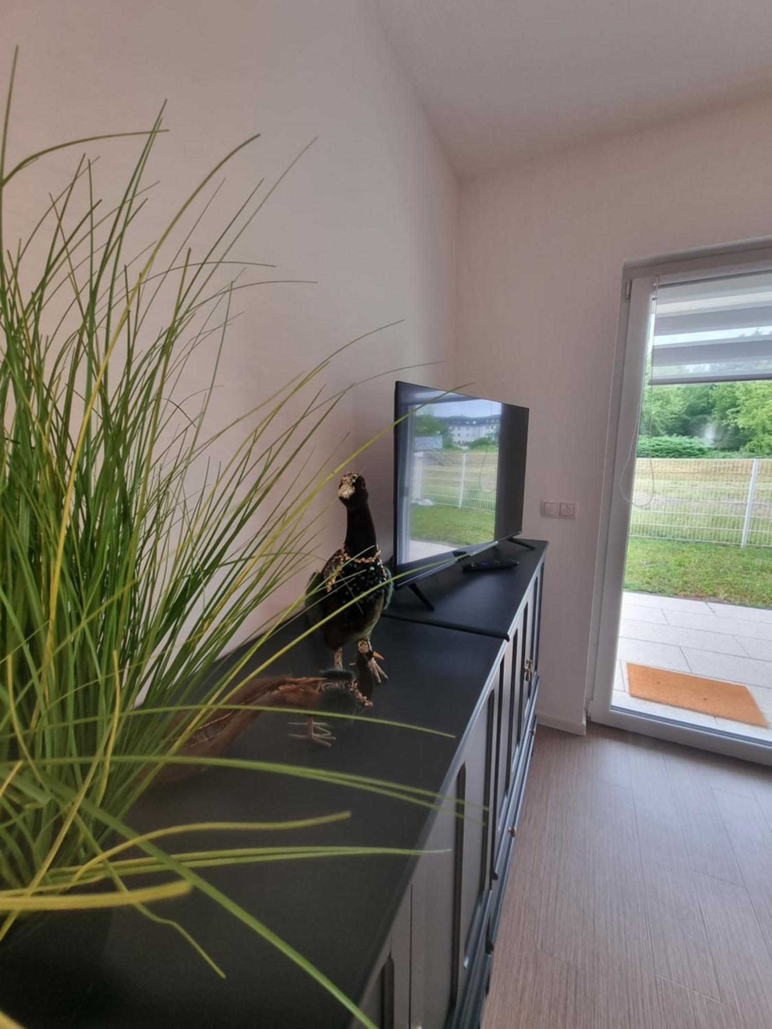 Ferienwohnung Im Palais Am See Am Goitzschesee Bitterfeld-Wolfen Стая снимка